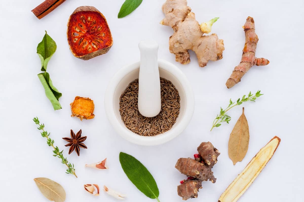 Read more about the article Naturopathy